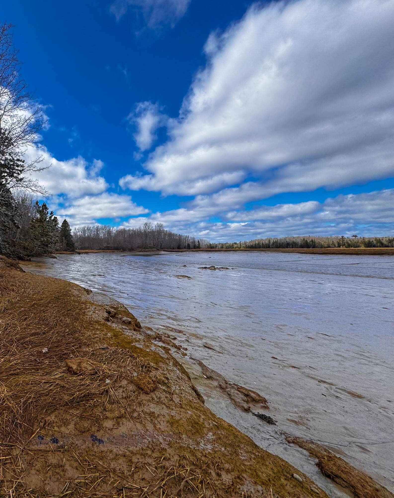 M5-l42 Hooke Road Harrington, ME 04643 - Photo 18 of 20 HookRd-18