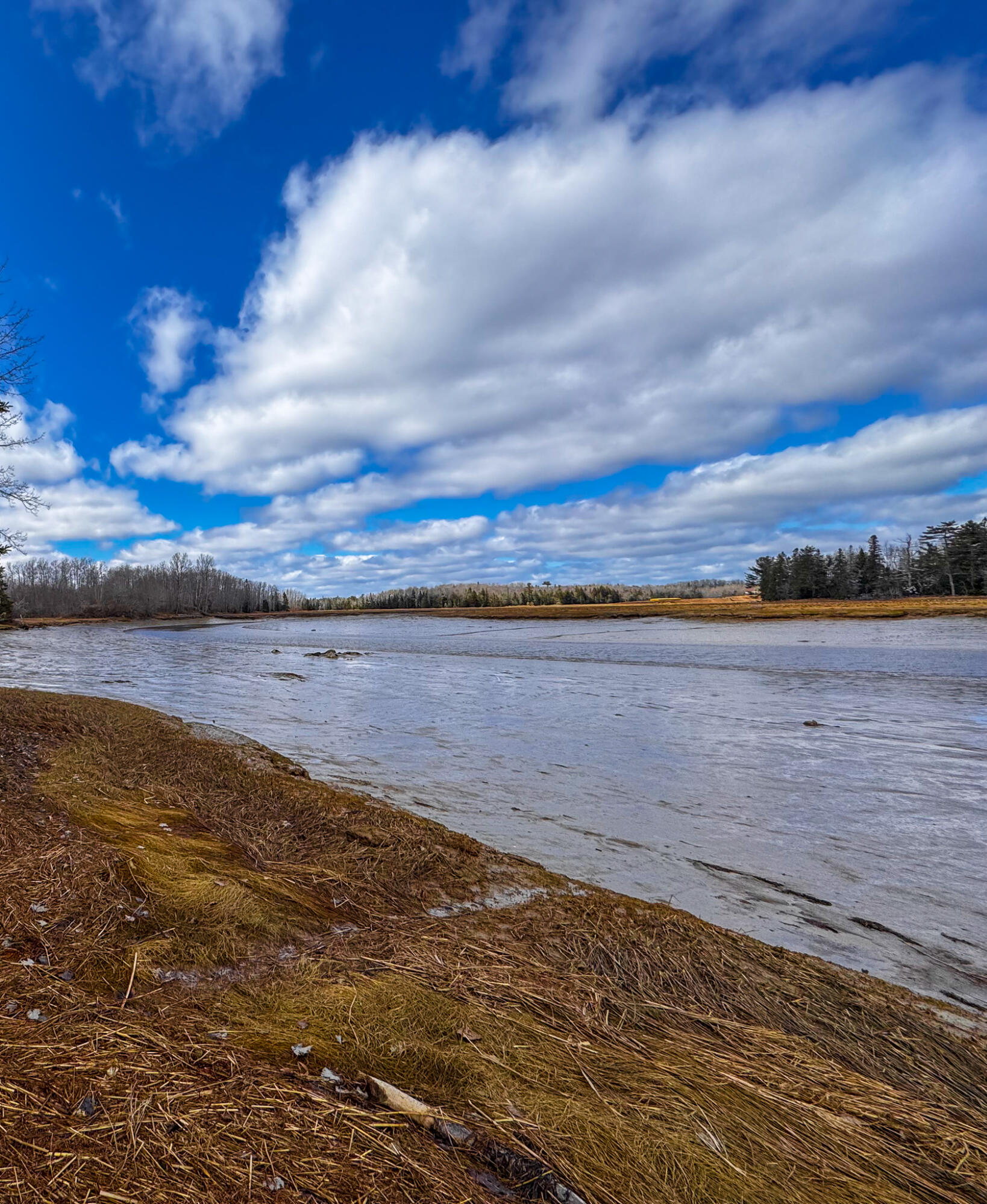 M5-l42 Hooke Road Harrington, ME 04643 - Photo 19 of 20 HookRd-19