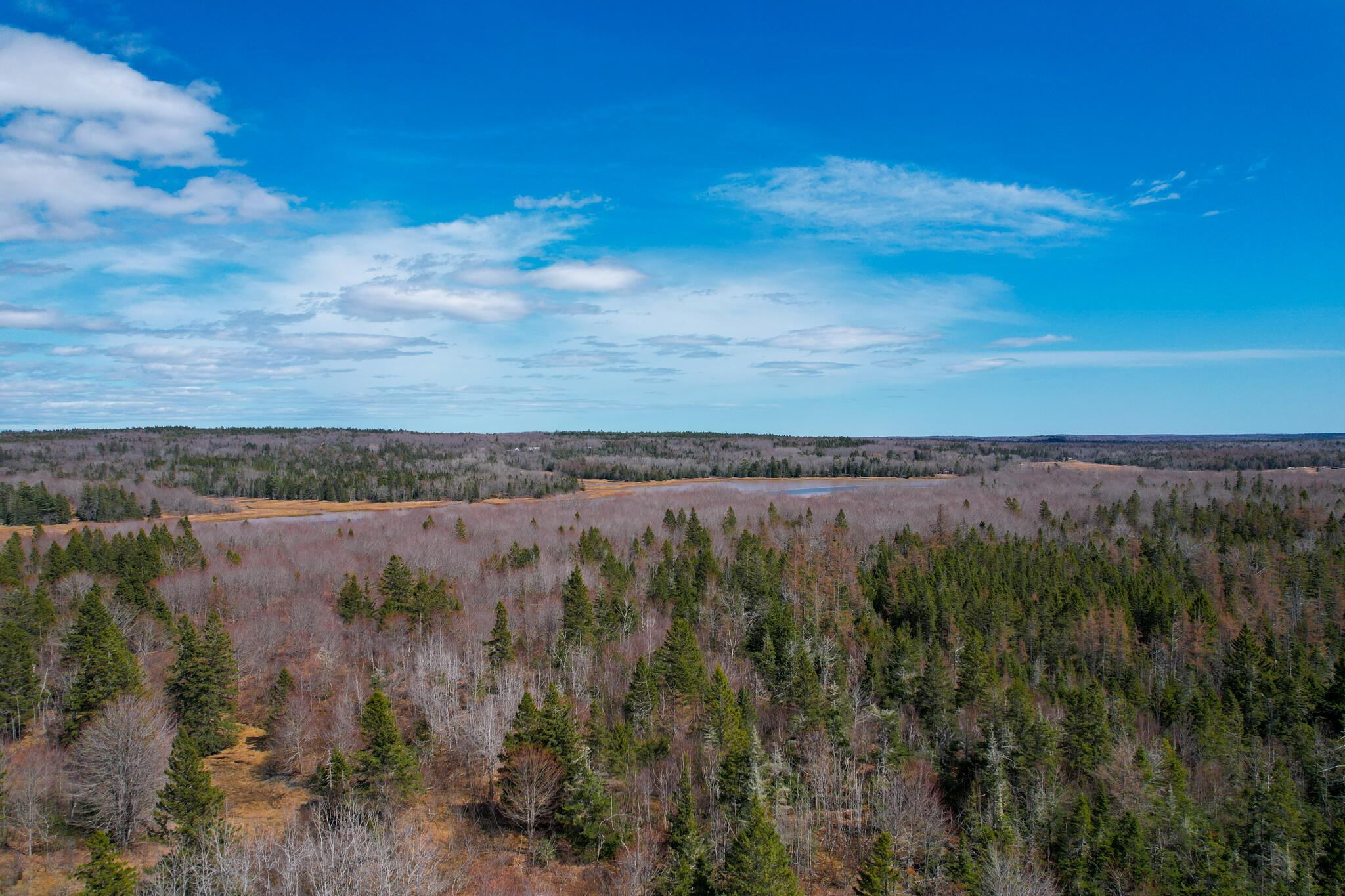 M5-l42 Hooke Road Harrington, ME 04643 - Photo 8 of 20 HookRd-08