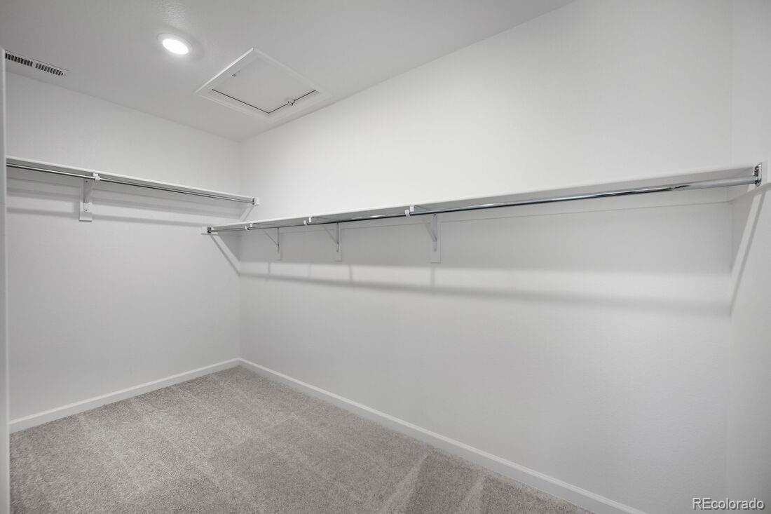 3602 Recess Lane Castle Rock, CO 80108 - Photo 15 of 50