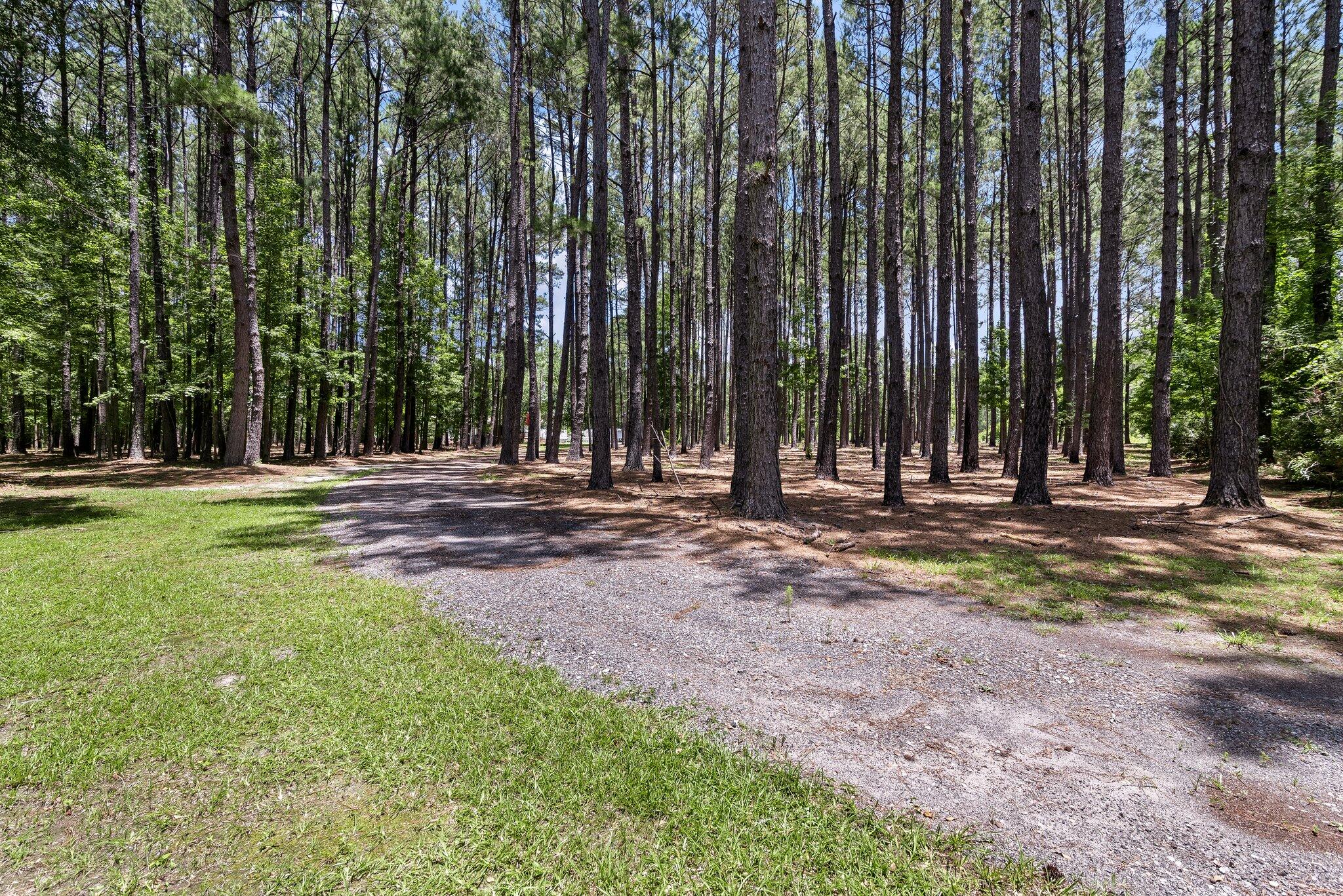 2234 Hudson Mill Road Ruffin, SC 29475 - Photo 4 of 33 2234 Hudson Mill 33