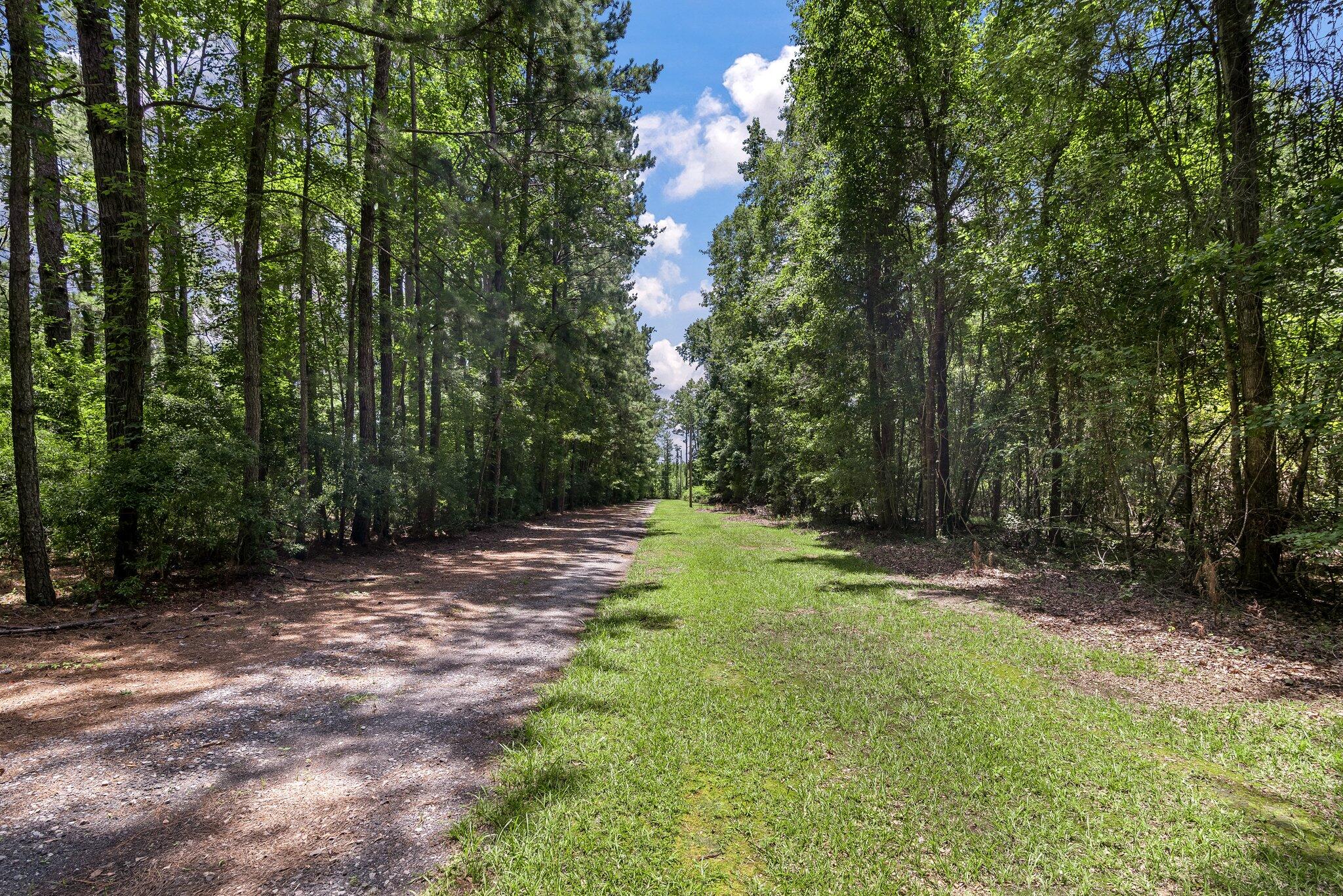 2234 Hudson Mill Road Ruffin, SC 29475 - Photo 5 of 33 2234 Hudson Mill 34