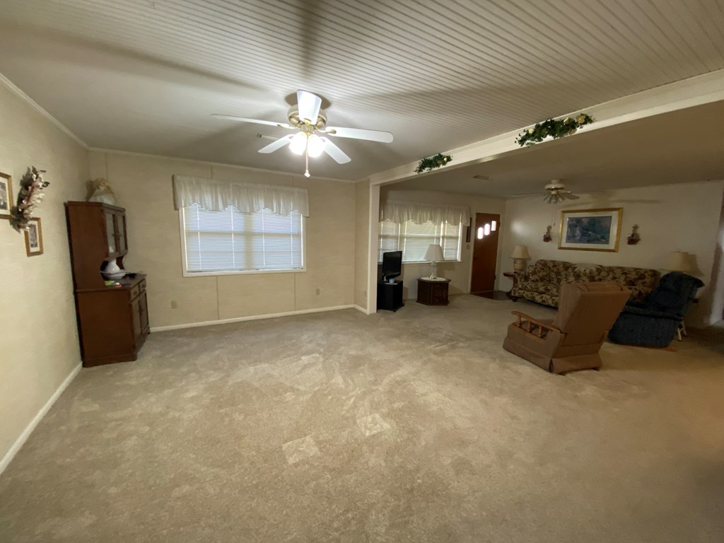 204 Lightfoot Road Abbeville, AL 36310 - Photo 2 of 14