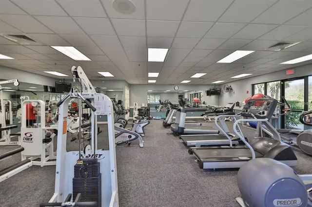 a view of a park with large trees