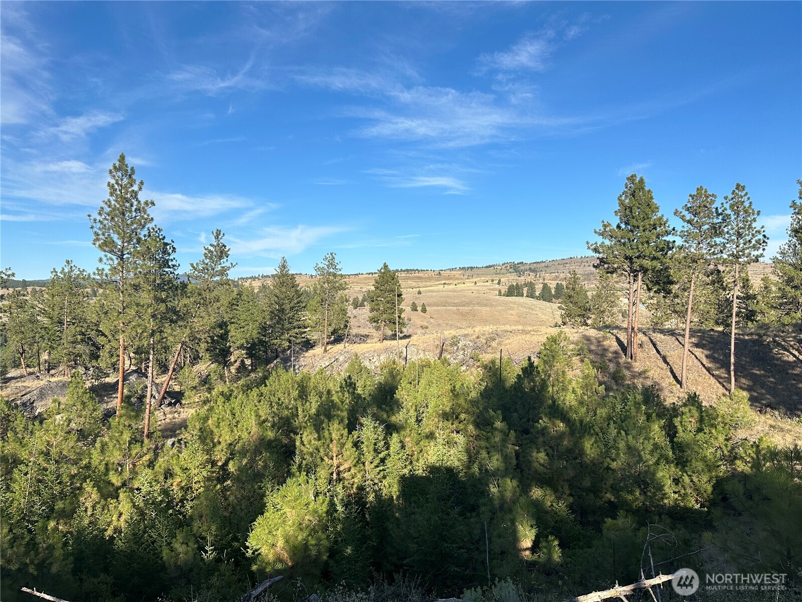 39 Homestead Spur Road Oroville, WA 98844 - Photo 32 of 37
