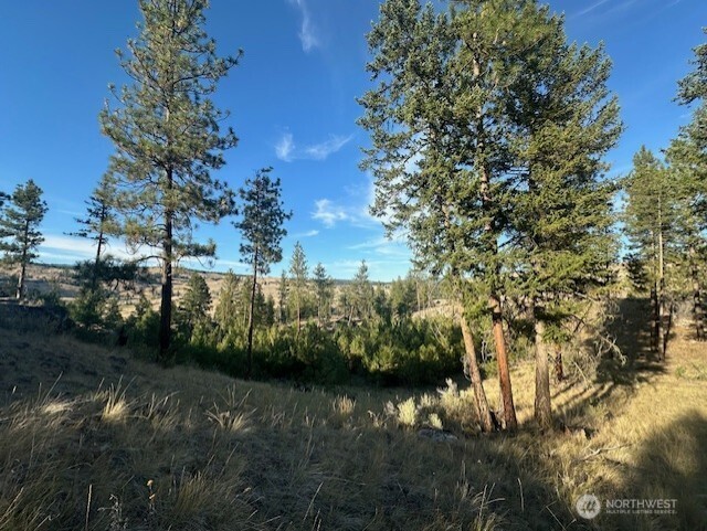 39 Homestead Spur Road Oroville, WA 98844 - Photo 7 of 37