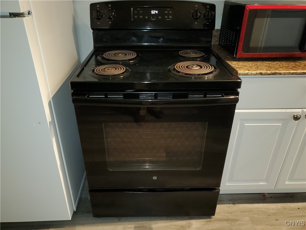 134 West Seneca Street, Unit 1 Manlius, NY 13104 - Photo 15 of 20 Electric Range