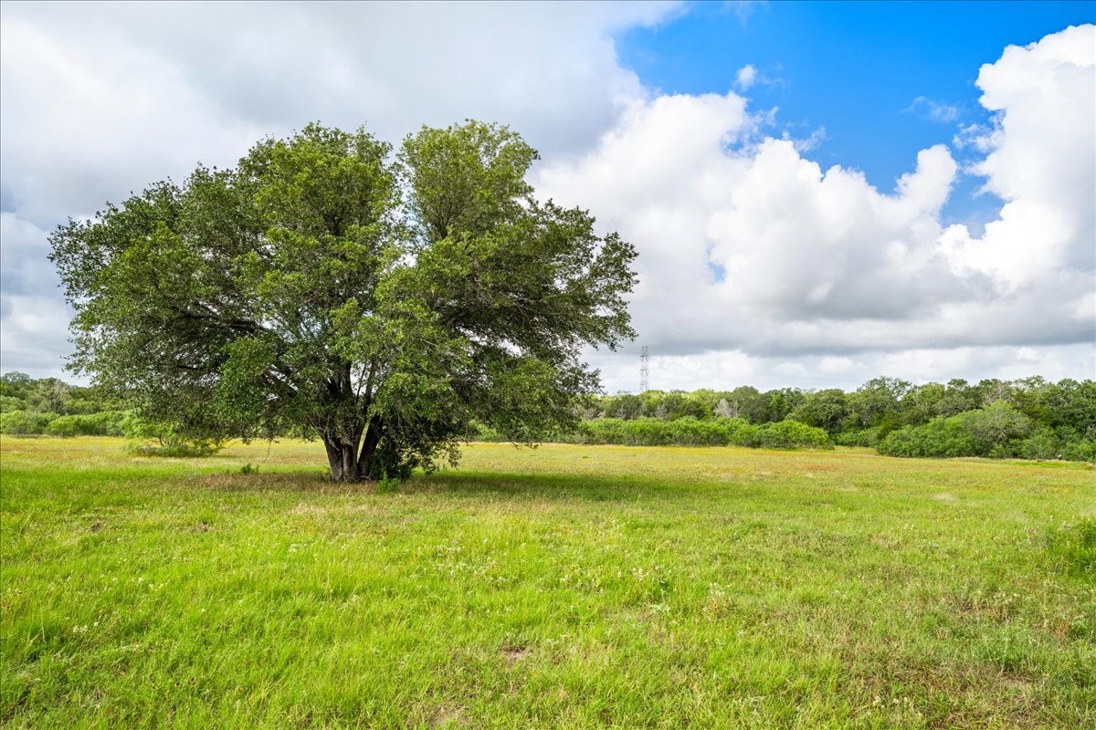 2845 Boehnke Road Muldoon, TX 78949 - Photo 6 of 39 a view of an ocean and a yard