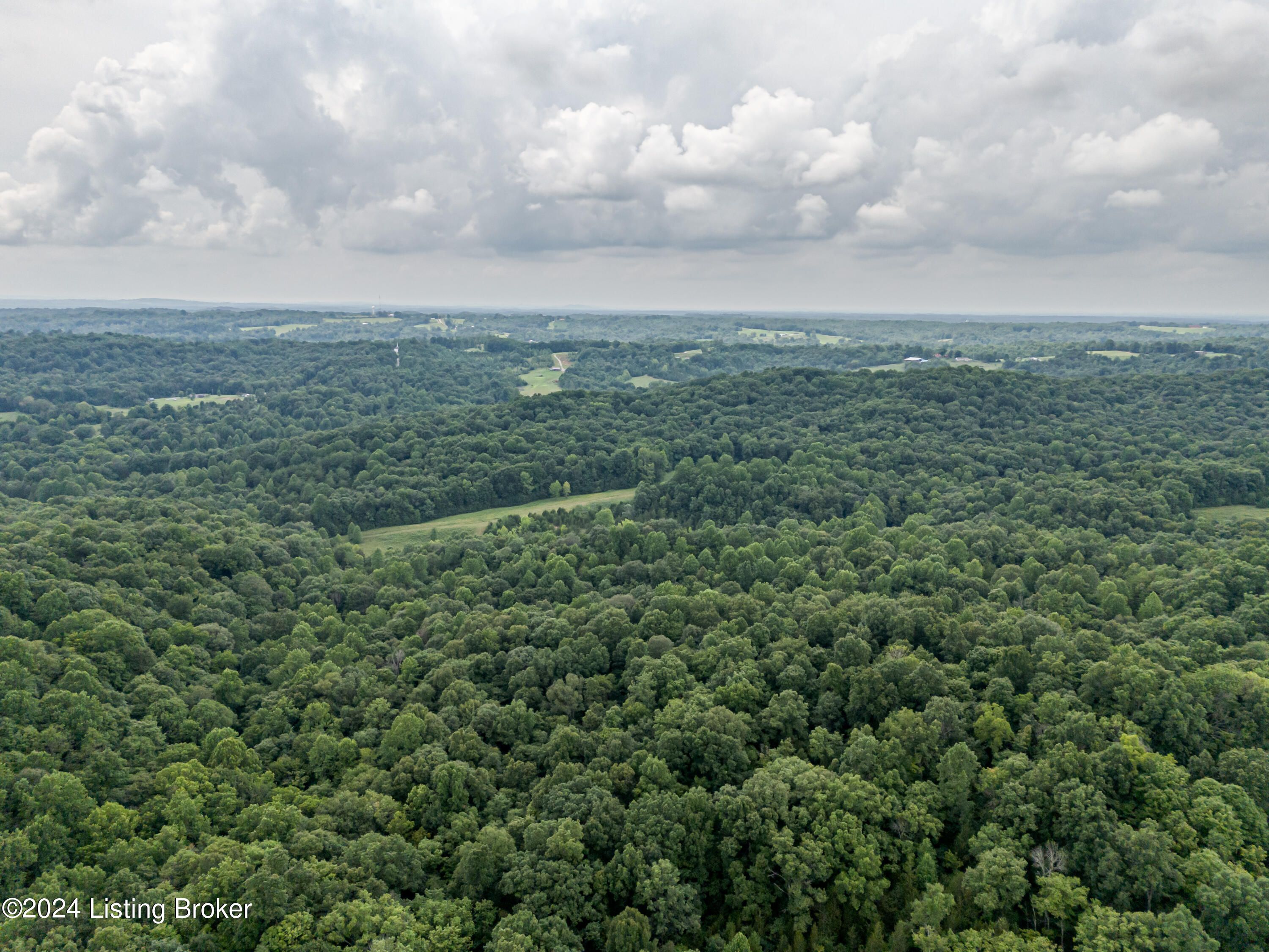 0 Weed-Keltner Road Columbia, KY 42728 - Photo 8 of 31 DJI_20240724155144_0304_D