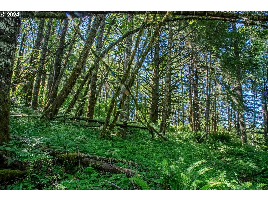 2803 Spring Villa Road Southeast Silverton, OR 97381 - Photo 26 of 35 Gallery Image 26
