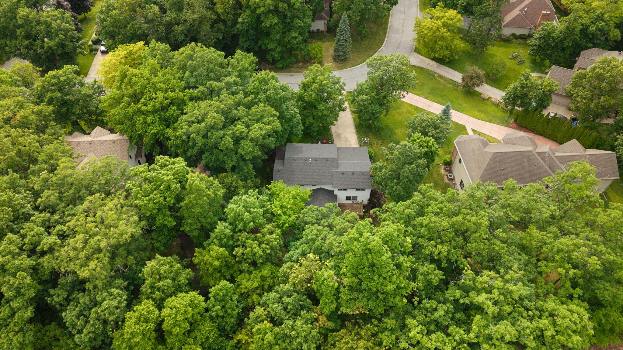 12227 South Williams Court Crown Point, IN 46307 - Photo 59 of 68 2048x1152