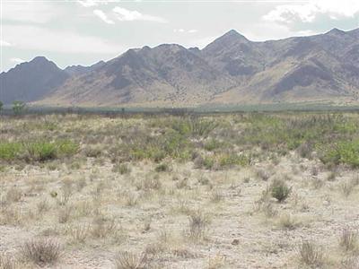 0 East Sulphur Canyon Road Bowie, AZ 85605 - Photo 1 of 4