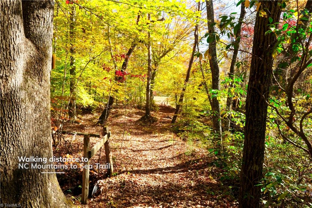 4 Old Mill Road Pinnacle, NC 27043 - Photo 15 of 18