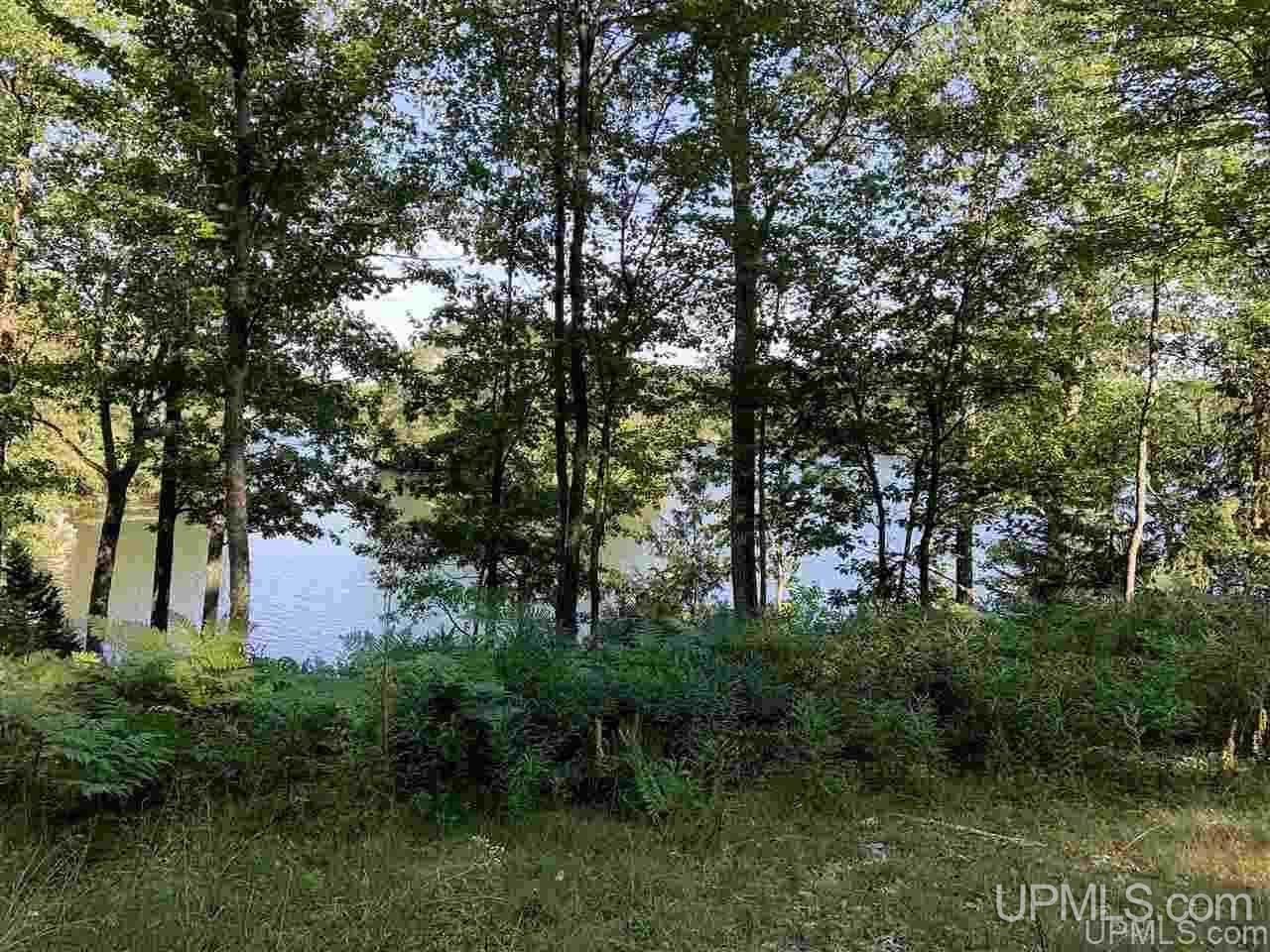 T-wi Tall Pines Road Florence, WI 54121 - Photo 2 of 5