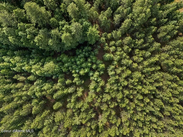 $850,000 | Tbd North Frosty Pine Trail, Coeur D'Alene, ID 83814