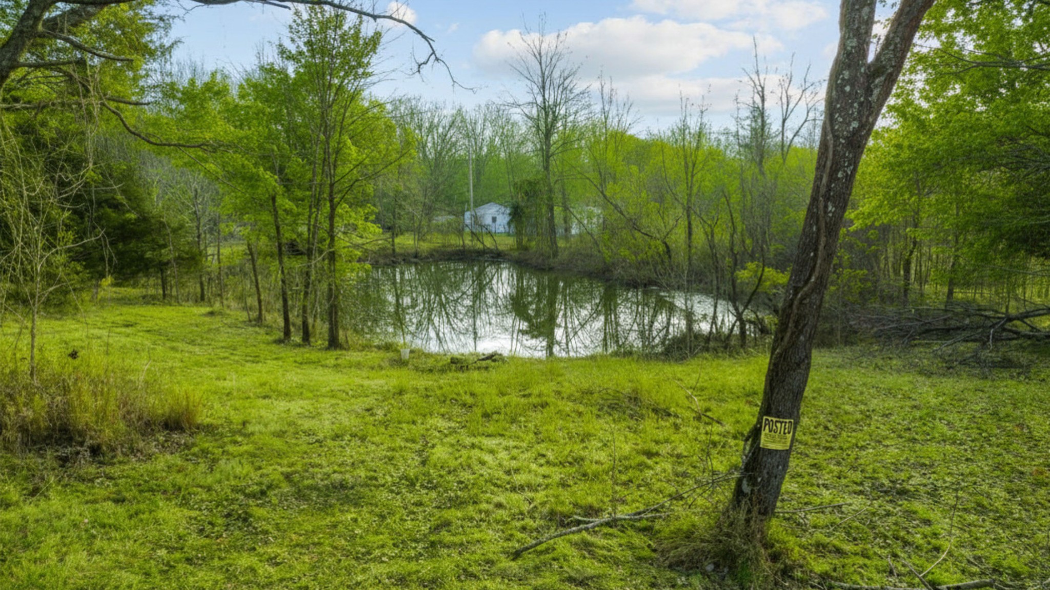 1672 Rabe Coats Road Westmoreland, TN 37186 - Photo 2 of 29