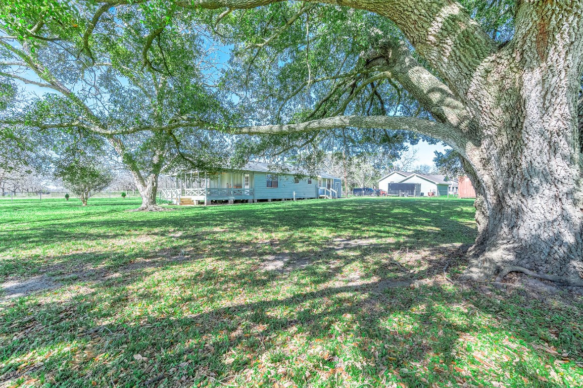 2474 Gates Road Alvin, TX 77511 - Photo 27 of 37 BACK YARD VIEW FROM THE BIG OAK TREE