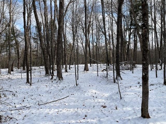 On Forest Lake Road Land O'Lakes, WI 54540 - Photo 12 of 19 Gallery Image 12