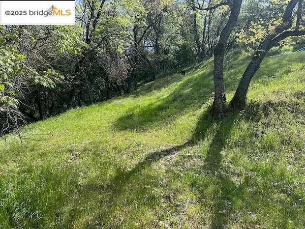 a view of a green field with lots of bushes
