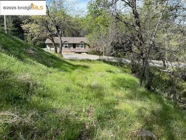 a view of house with yard and trees