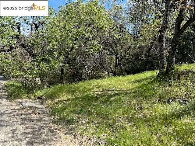 a view of a big yard with large trees