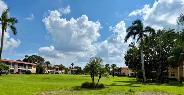 a view of a house with a big yard and potted plants and large trees