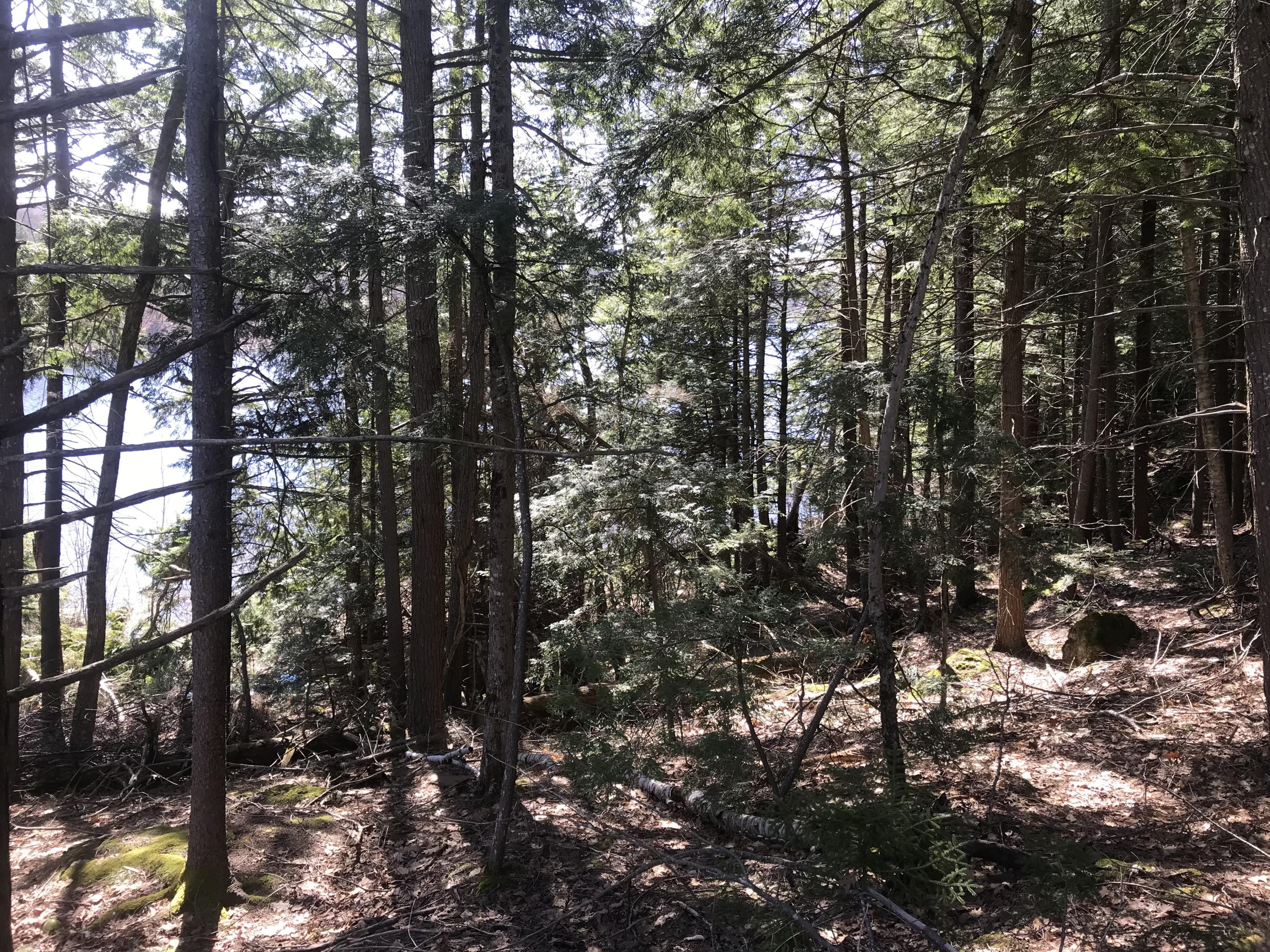 0 Fitts Mountain Road Dedham, ME 04429 - Photo 33 of 83 6wUc9jcfTDC3ACHidYcakg