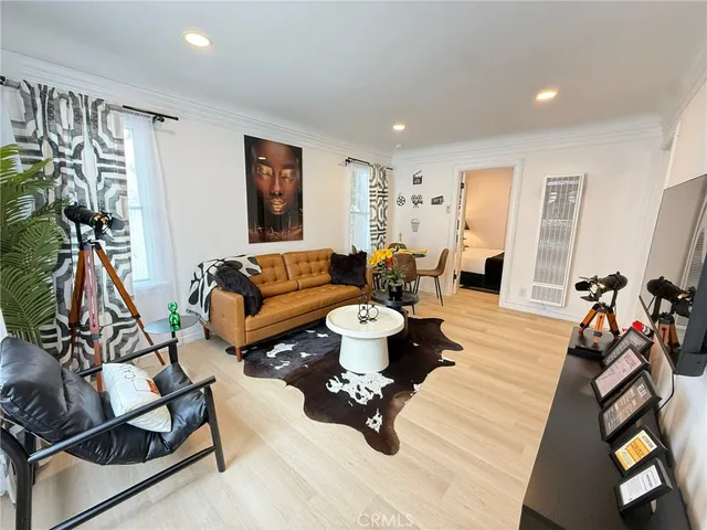 a living room with furniture or couch and a rug