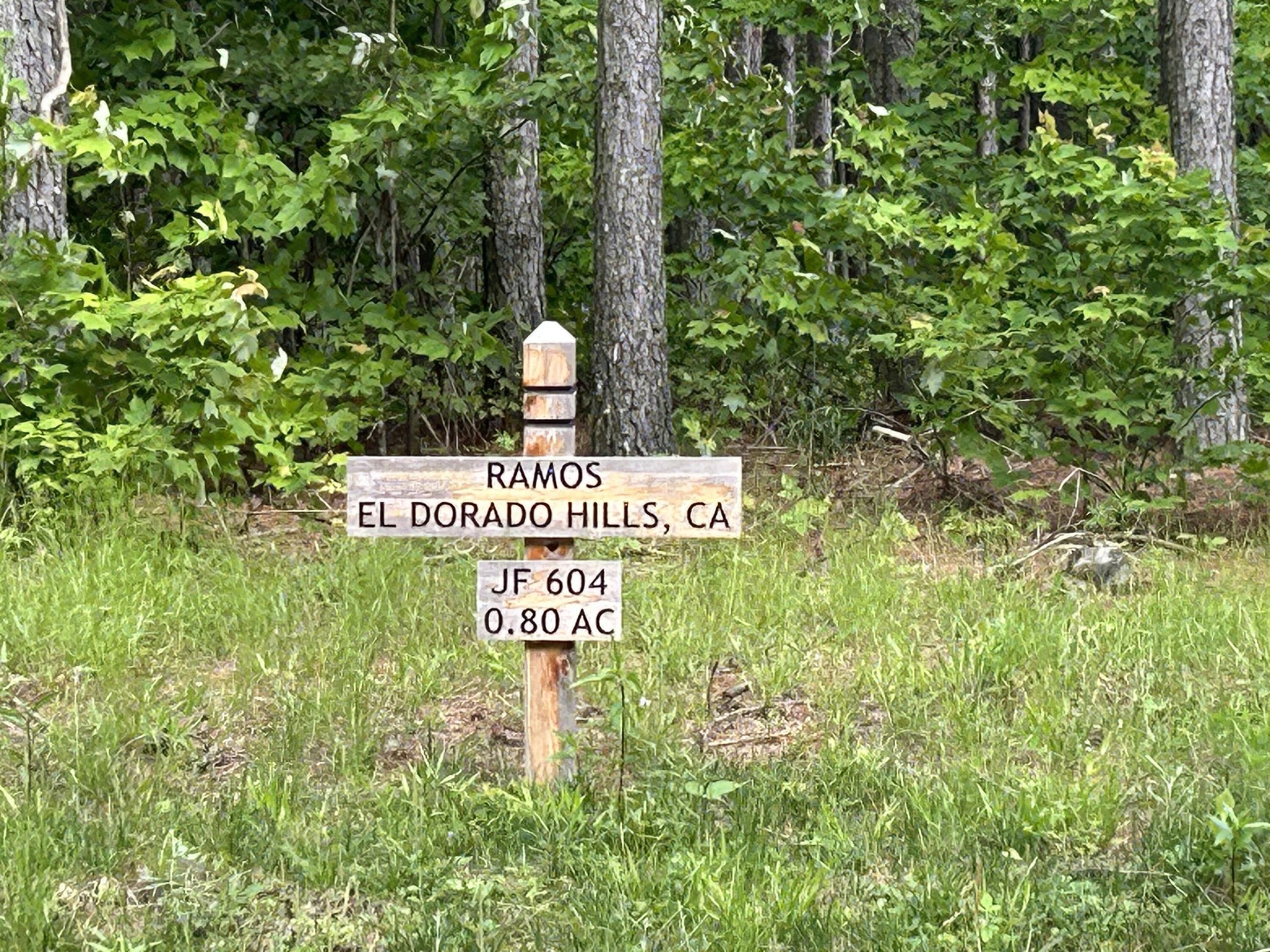 a sign that is sitting in front of a tree