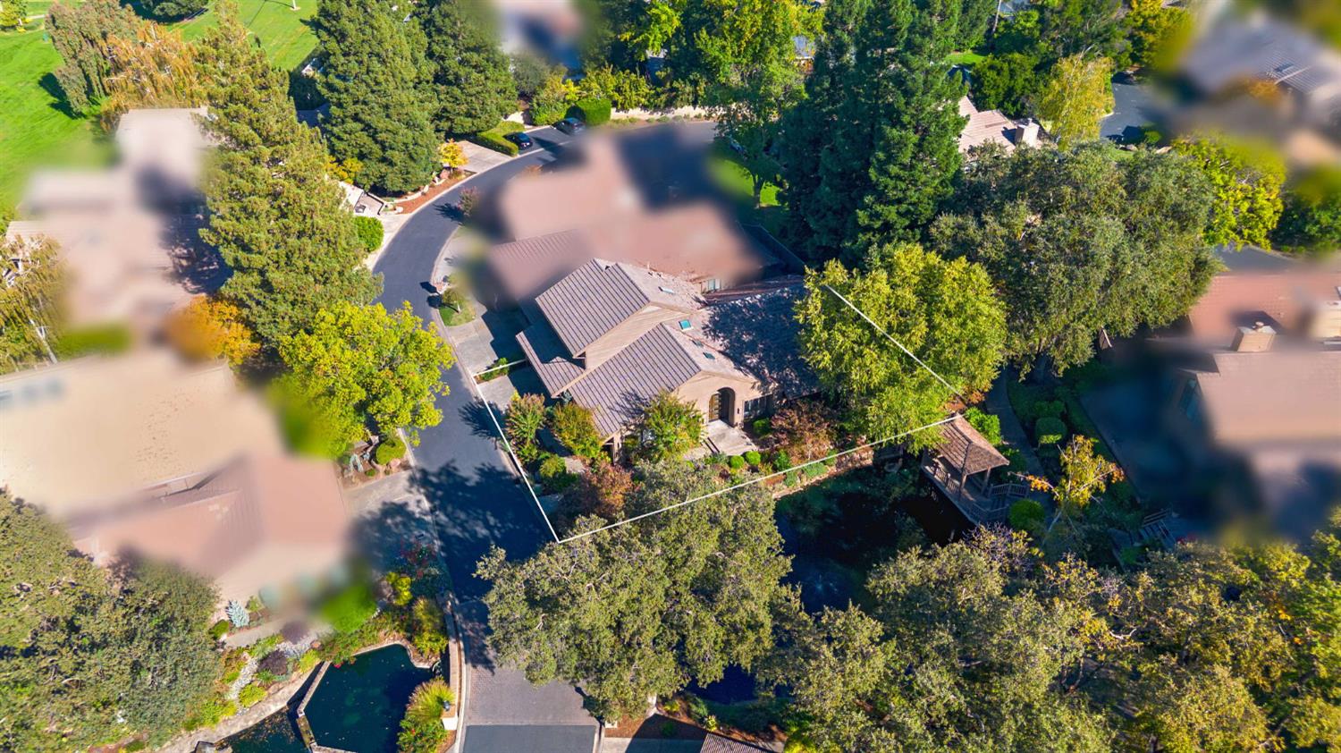 7529 Pineridge Road Fair Oaks, CA 95628 - Photo 53 of 62 a view of a yard with a flower