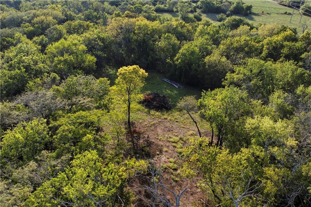 1369 North 550 Road Baldwin City, KS 66006 - Photo 10 of 31