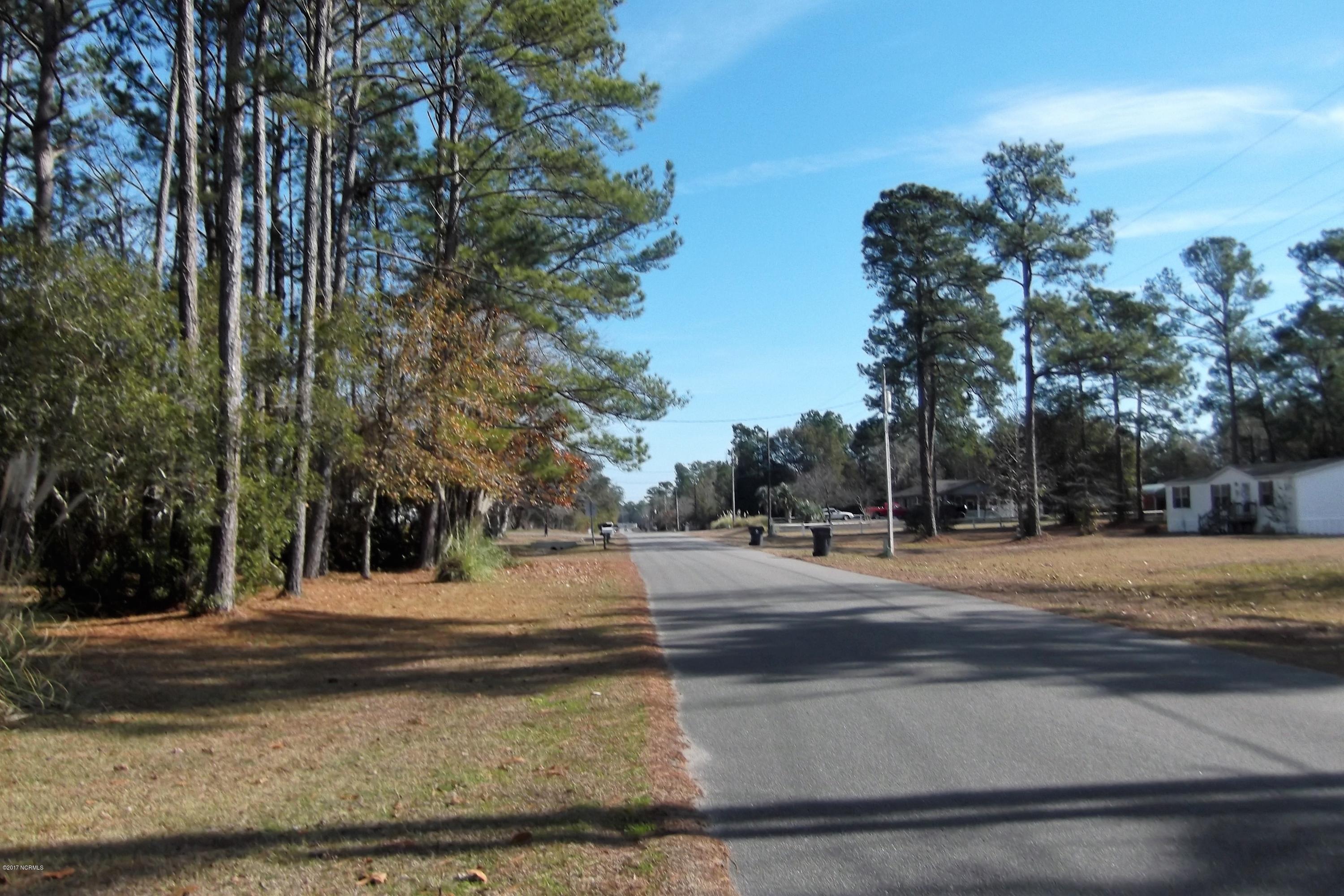 404 Maple Creek Road Southwest Supply, NC 28462 - Photo 28 of 29 DSCF6514