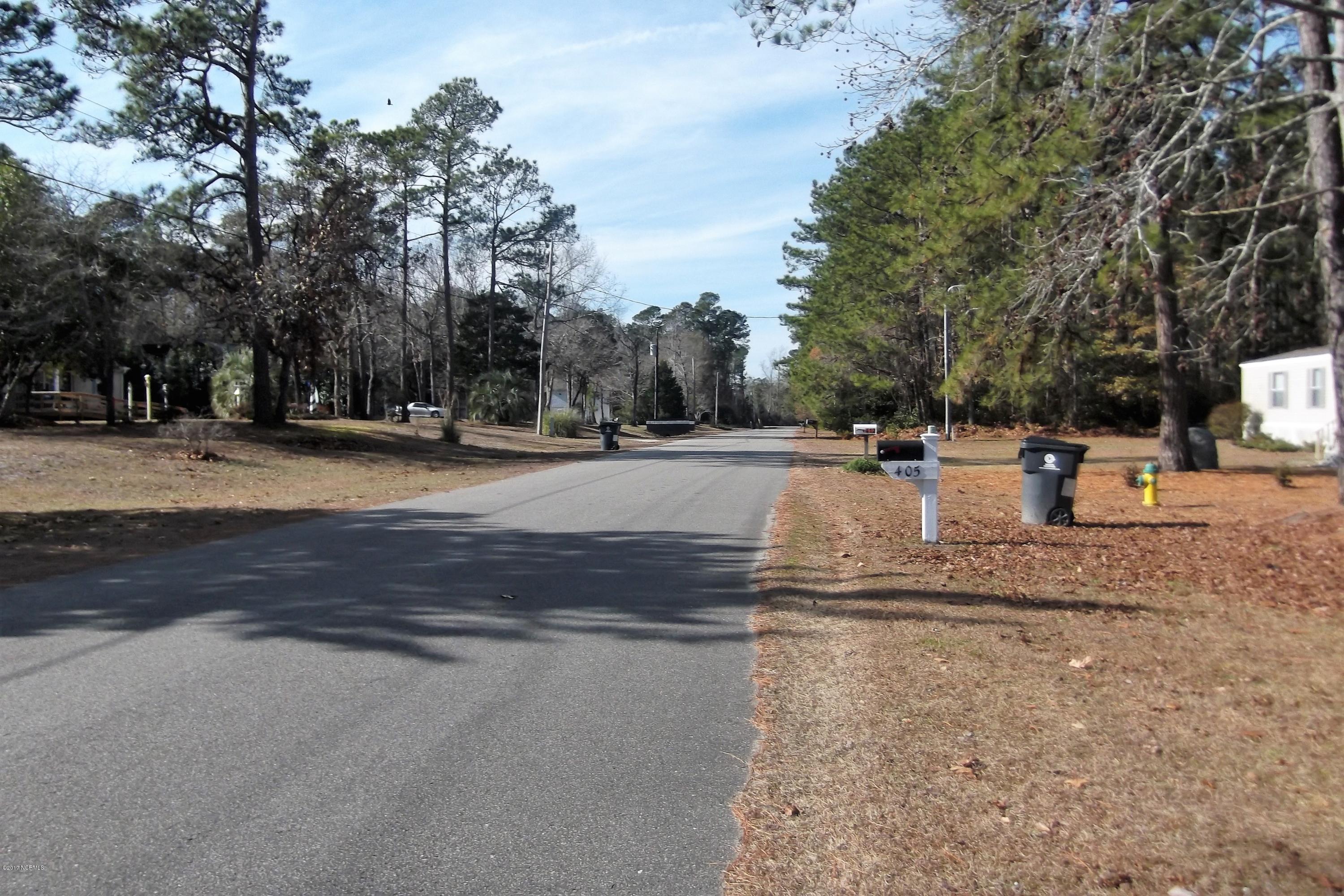 404 Maple Creek Road Southwest Supply, NC 28462 - Photo 29 of 29 DSCF6515