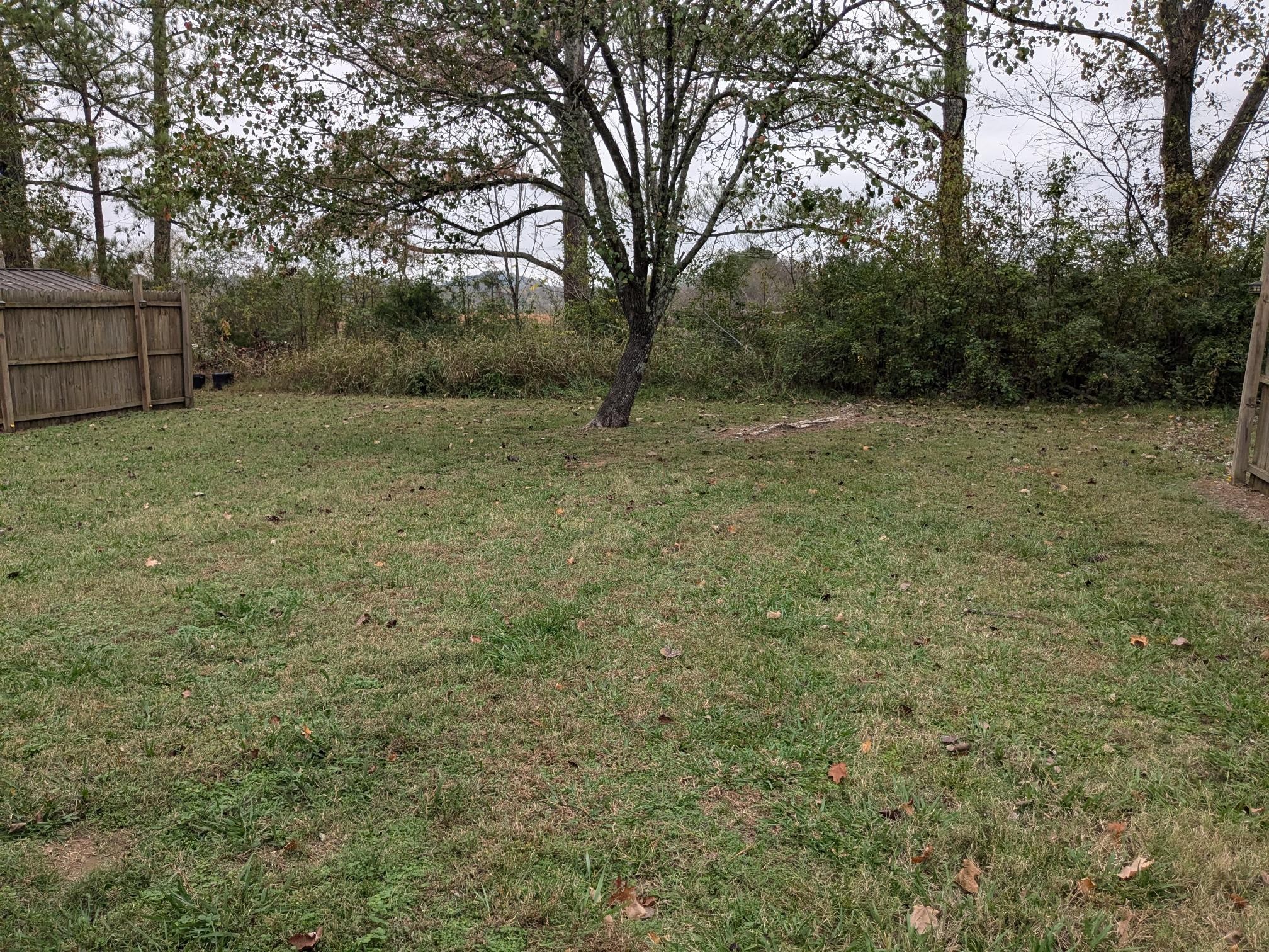 413 Shawnee Drive Columbia, TN 38401 - Photo 11 of 11 a backyard of a house with lots of green space