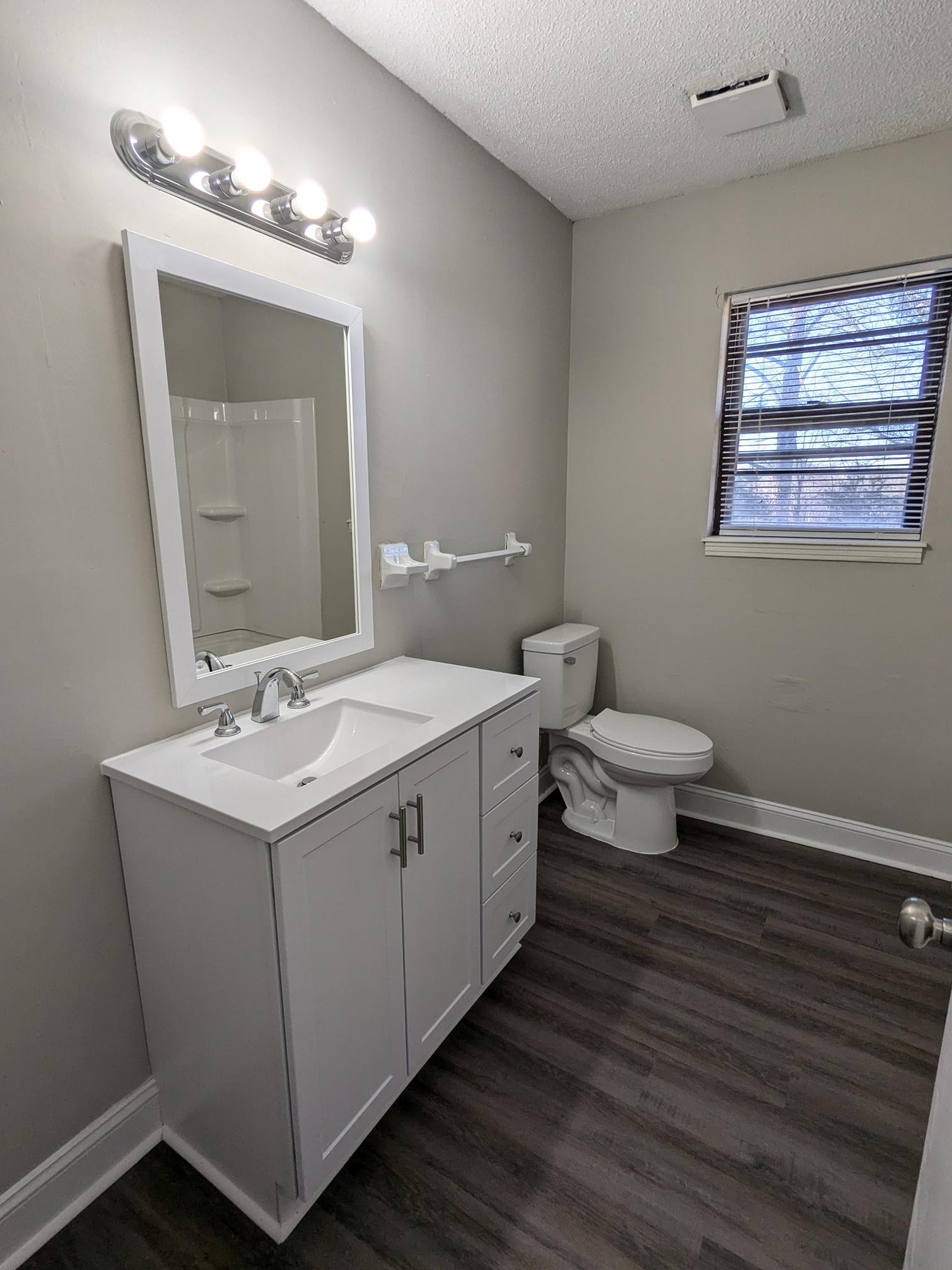 413 Shawnee Drive Columbia, TN 38401 - Photo 9 of 11 a bathroom with a toilet sink and mirror