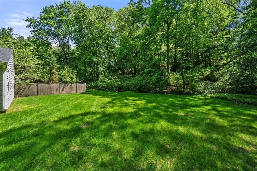 53 Windsor Road Wellesley, MA 02481 - Photo 40 of 42 a view of yard with green space