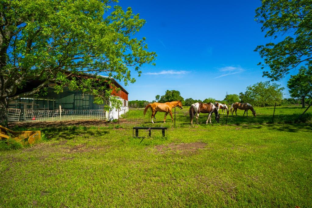 682 Lcr 450 Groesbeck, TX 76642 - Photo 31 of 38 a backyard of a house with table and chairs