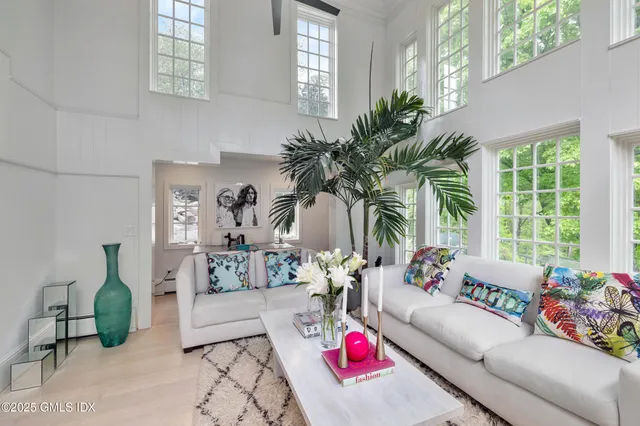 a living room with furniture and a potted plant