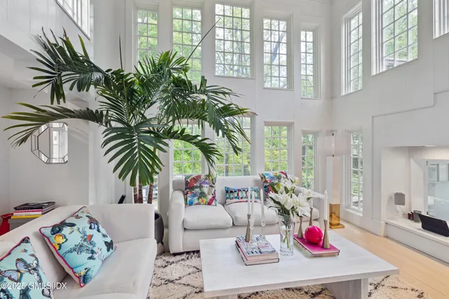 a living room with furniture and a potted plant