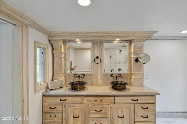 a bathroom with a granite countertop sink a potted plant and a mirror