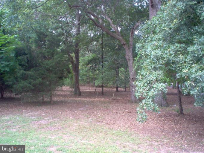 6968 Reliance Road Federalsburg, MD 21632 - Photo 4 of 4 Back yard