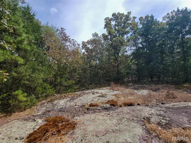 $137,500 | 9519 Madison Street, Fredericktown, MO 63645