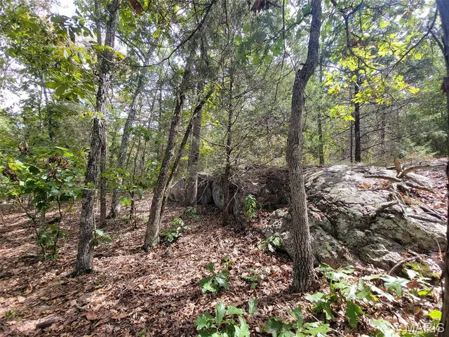 $137,500 | 9519 Madison Street, Fredericktown, MO 63645