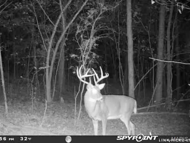 $137,500 | 9519 Madison Street, Fredericktown, MO 63645