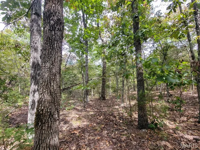 $137,500 | 9519 Madison Street, Fredericktown, MO 63645