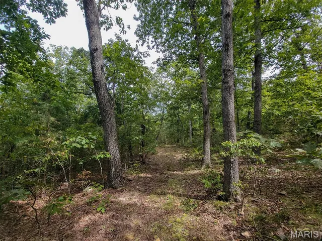 $137,500 | 9519 Madison Street, Fredericktown, MO 63645