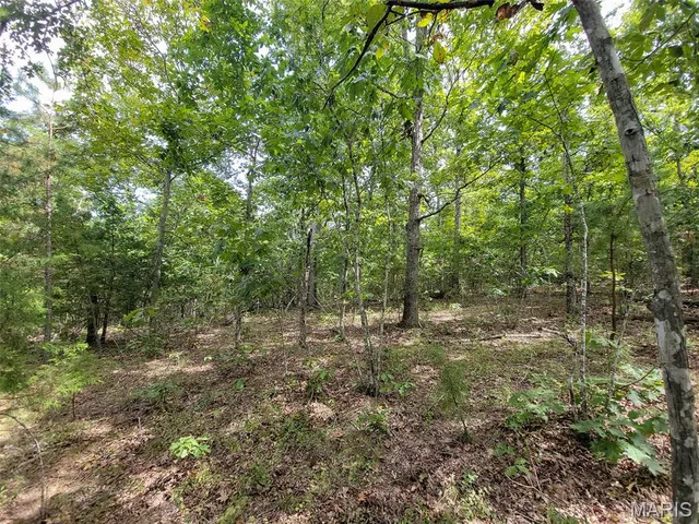 $137,500 | 9519 Madison Street, Fredericktown, MO 63645