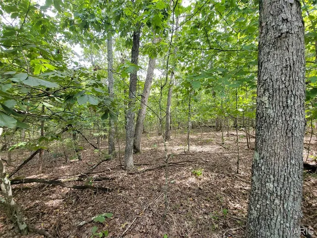 $137,500 | 9519 Madison Street, Fredericktown, MO 63645