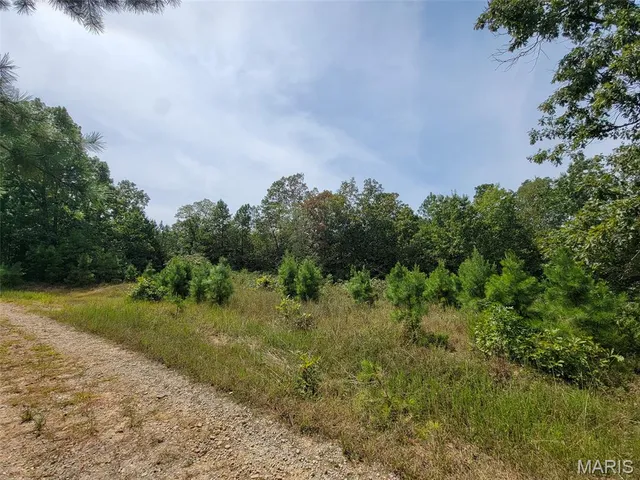 $137,500 | 9519 Madison Street, Fredericktown, MO 63645