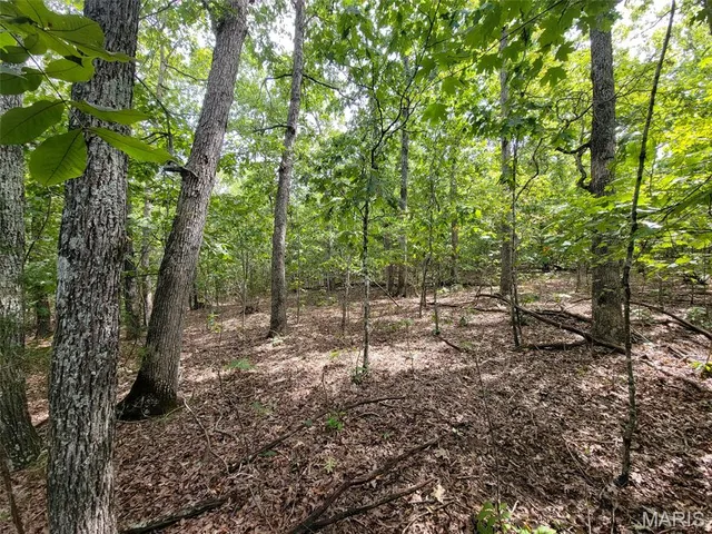 $137,500 | 9519 Madison Street, Fredericktown, MO 63645